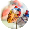 Medical 3D printing application