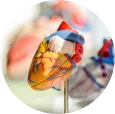 Binder Jetting 3D printing applications in the medical industry
